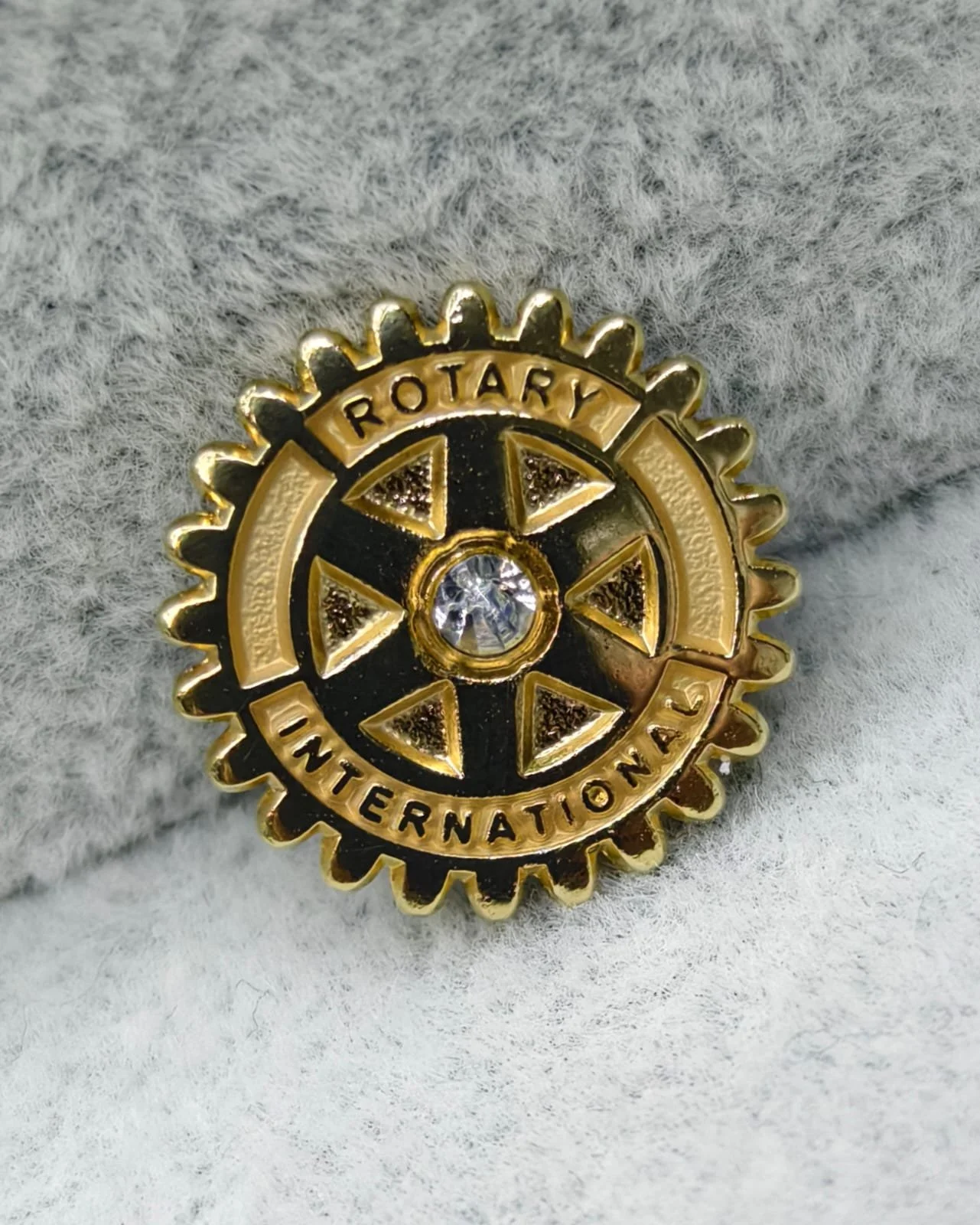 Rotary Essentials — David Harilela Group